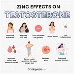 Does Zinc Increase Testosterone