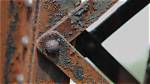 Does Zinc Screws Rust?