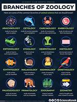 Does Zoology Require Physics?