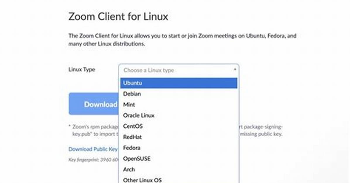 Does Zoom Work Well on Linux?