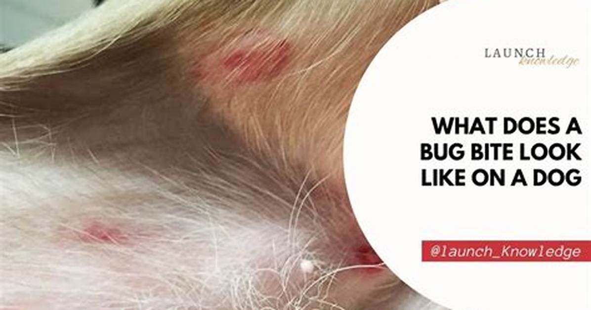 Dog-Biting Bug