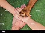 Dog's Hands