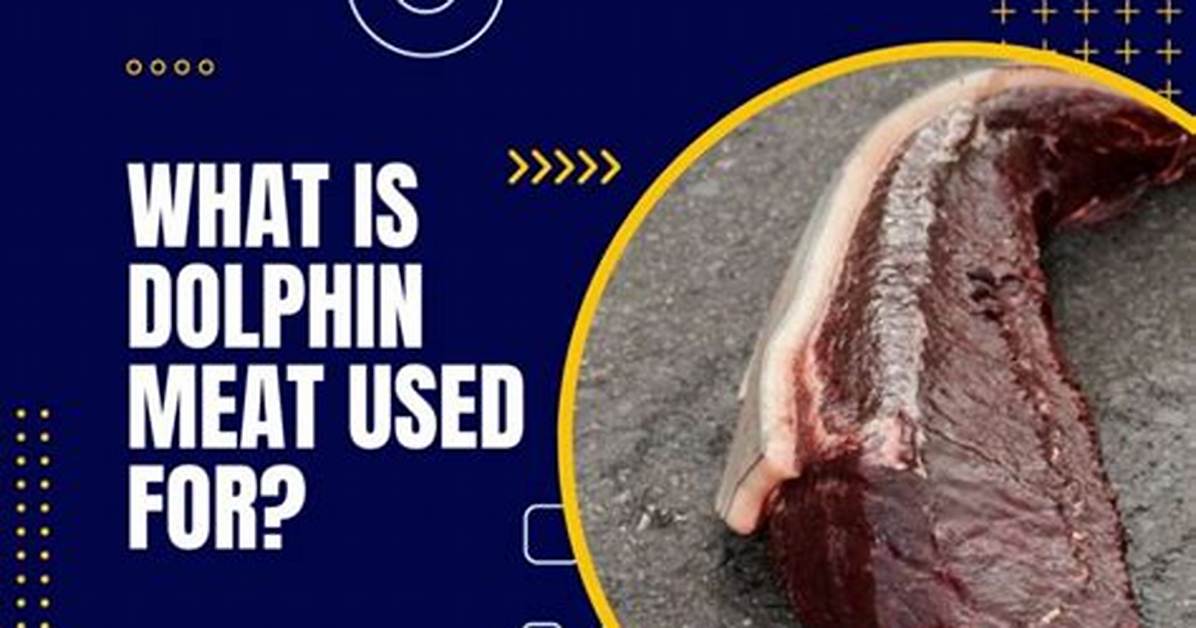 Dolphin Meat