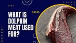 Dolphin Meat