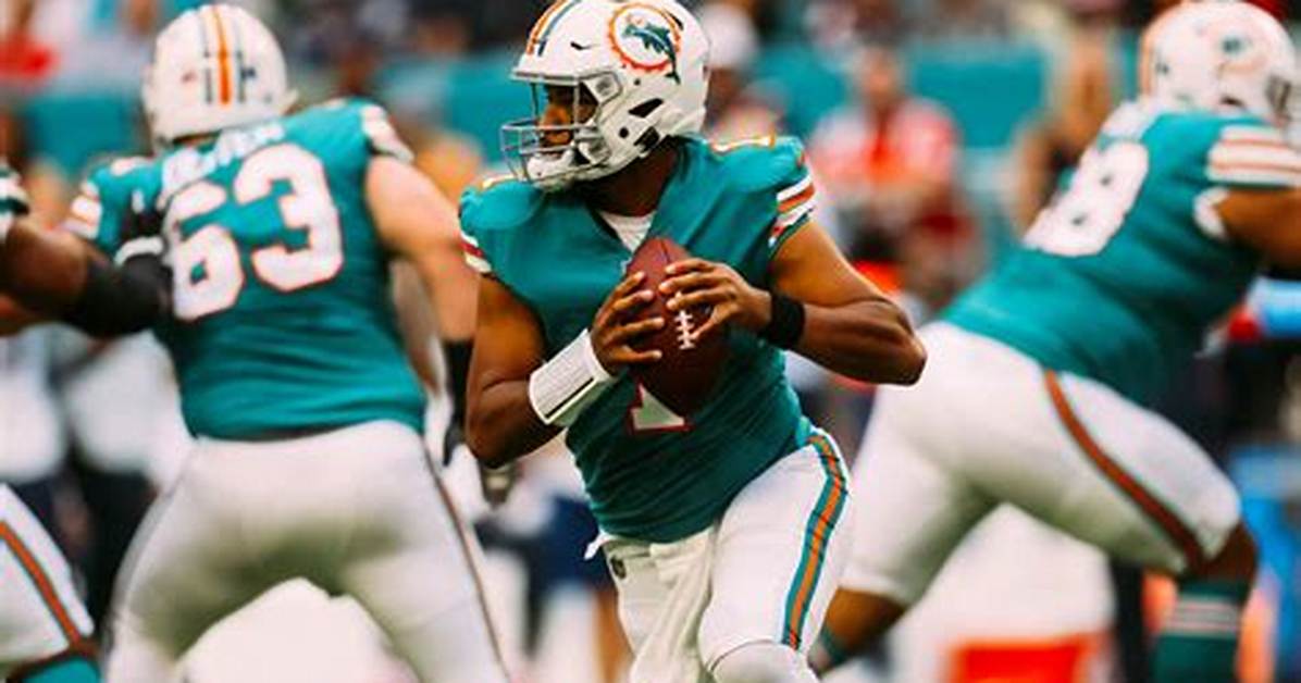 Dolphins