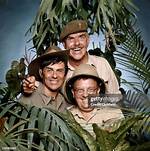 Don Estelle