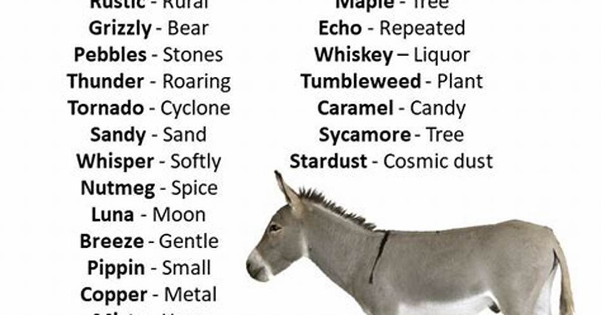 Donkey Names