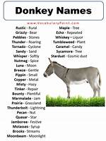 Donkey Names