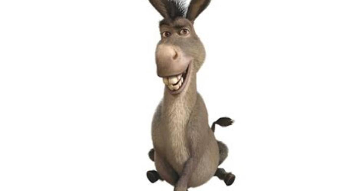 Donkey Shrek