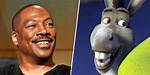 Donkey Voice Actor