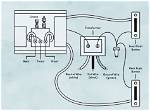 Doorbell Wire