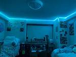 Dorm Room Lights