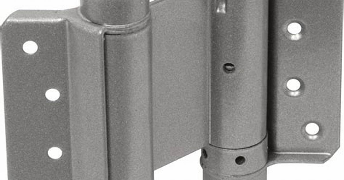 Double Action Spring Hinge