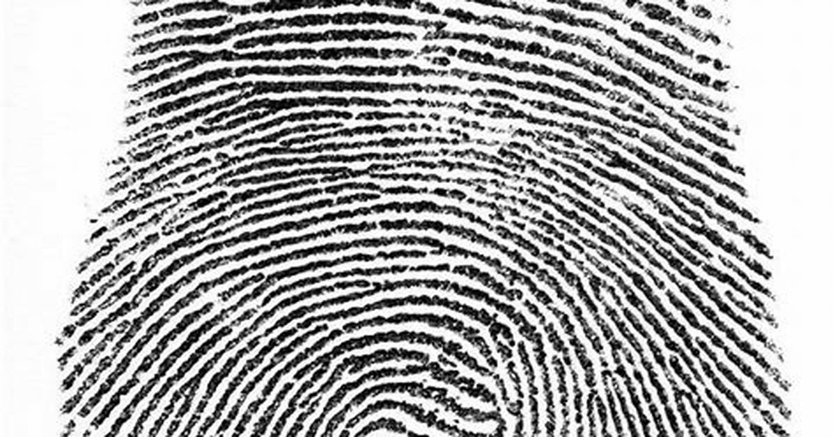 Double Loop Fingerprint