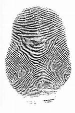 Double Loop Fingerprint