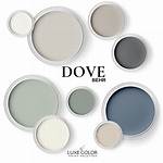 Dove Color