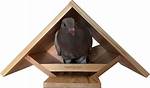 Dove Nesting Box