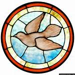 Dove or Dial for Example