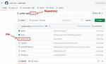 Download Single Files from Github