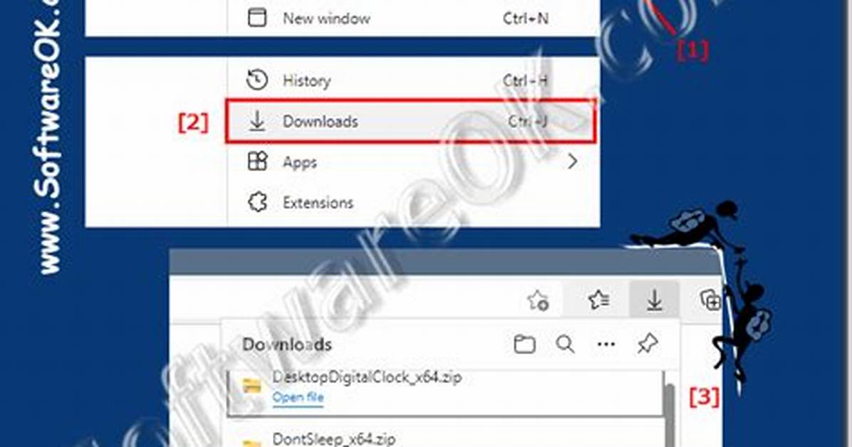 Downloaded Program