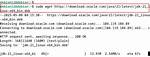 Downloading Java Jdk on Linux via Wget Is Shown License Page Instead
