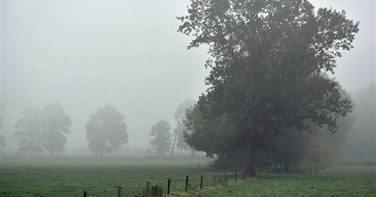 Dreary Day