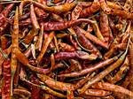 Dried Chilis