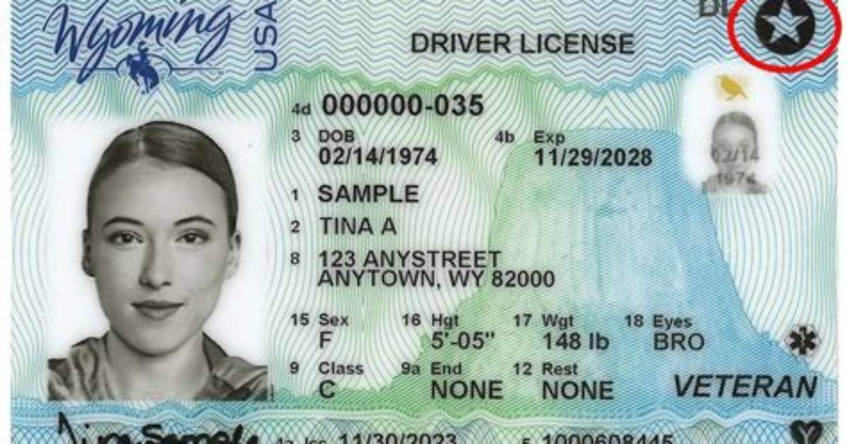 Drivers' Licenses for Example: Abbr.