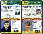 Drivers Permit Pa