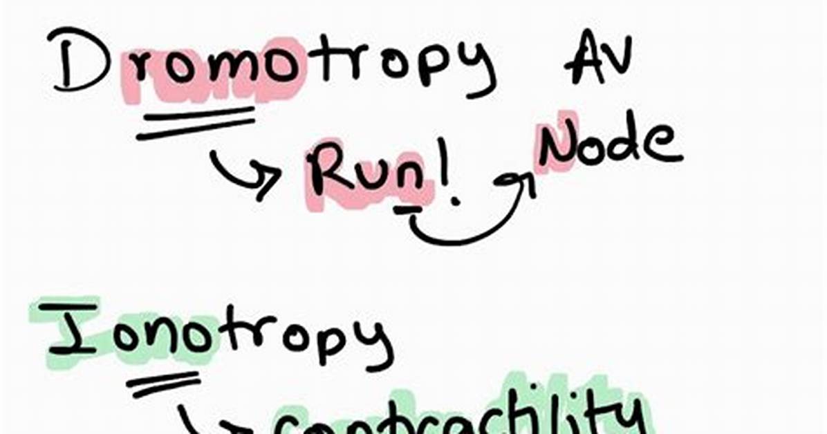 Dromotropy