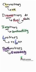 Dromotropy
