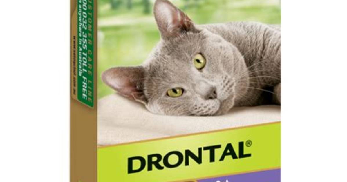 Drontal for Cats
