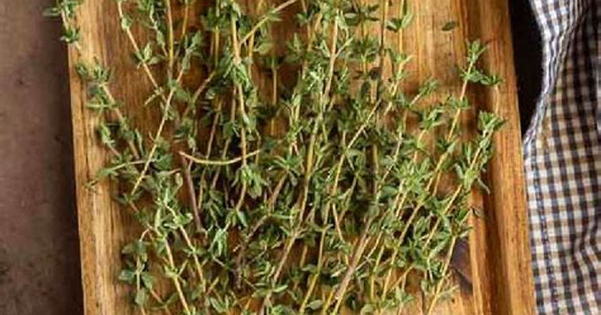 Dry Thyme