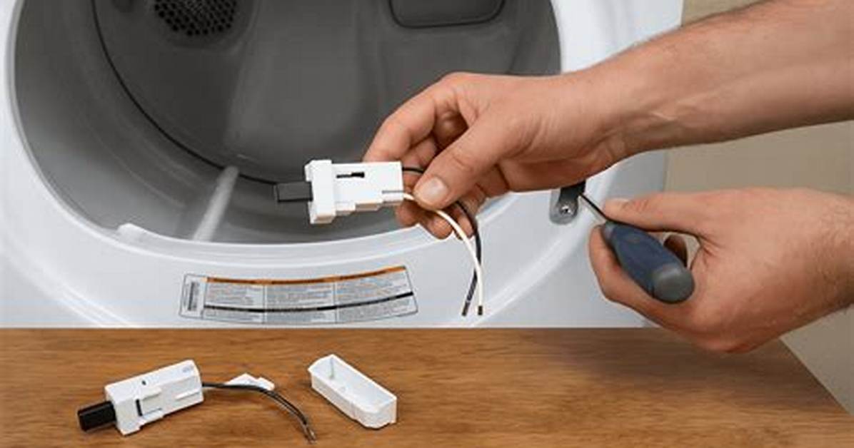 Dryer Door Switch