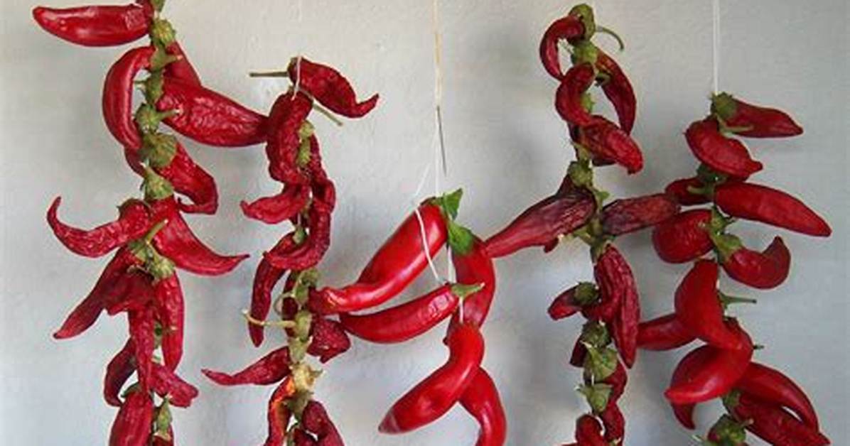 Drying Peppers