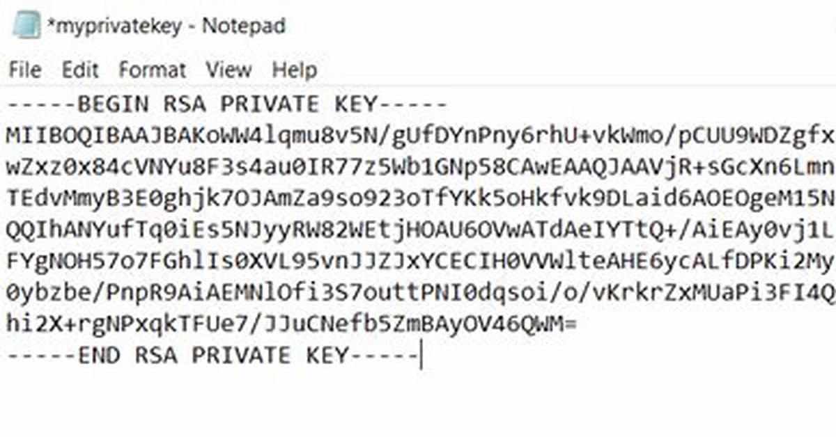 Dsa Private Key Format