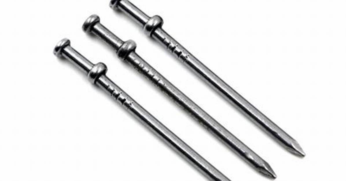Duplex Nail