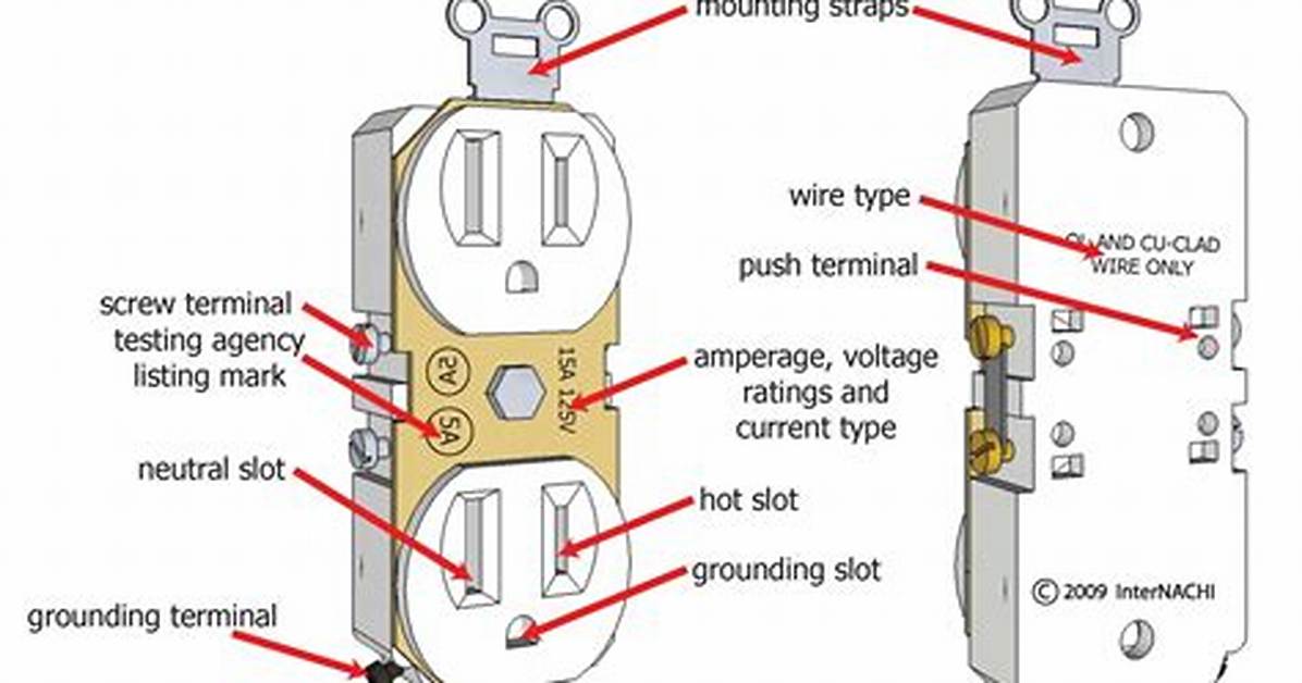 Duplex Receptacle