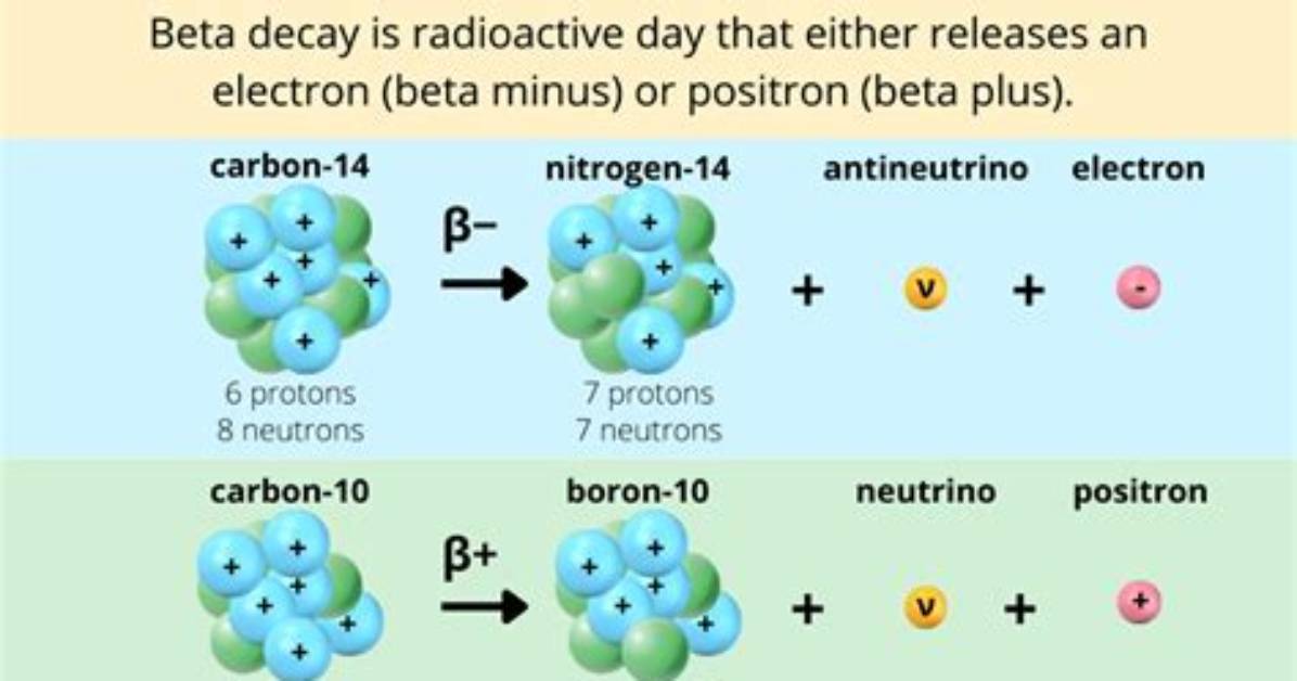 During a Beta Decay?