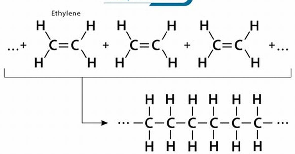 During a Polymerization Reaction?