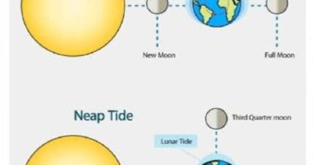 During a Spring Tide?