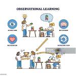 During a Study Using the Behavioral Research Strategy?