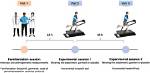 During an Incremental Exercise Test?