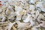 During Cremation Do Bones Burn?