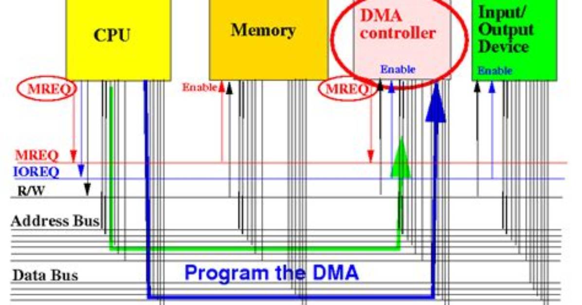During Dma Transfer the Processor?