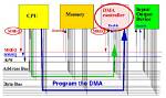 During Dma Transfer the Processor?