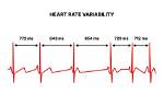During Heart Rate Variability?