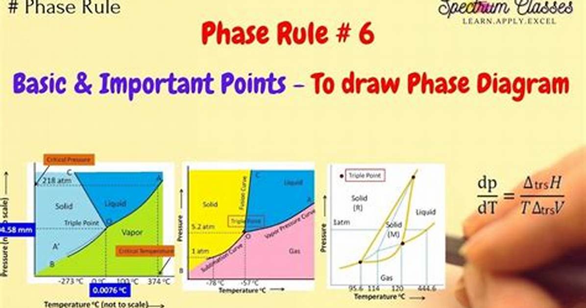 During the Draw Phase?