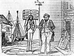 During the Nullification Controversy?