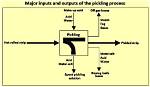 During the Pickling Process?